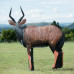 Wildcrete Nyala
